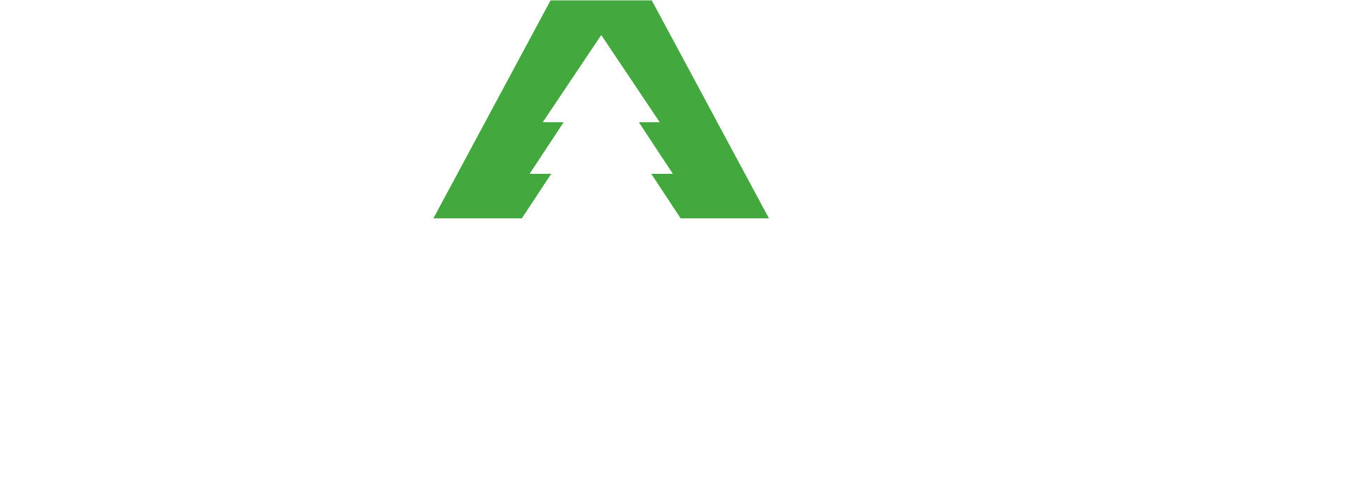 Waldfilm